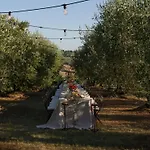 Cozzano * Pozzuolo