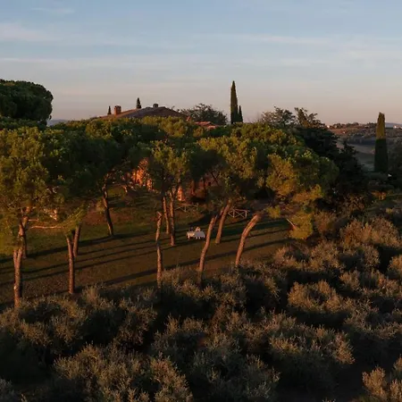 Cozzano 포주올로