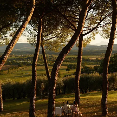 Cozzano
