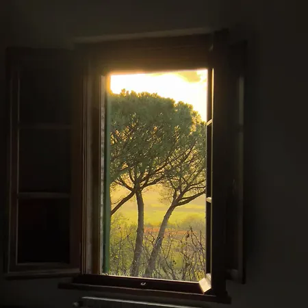 Κατάλυμα σε φάρμα Cozzano *