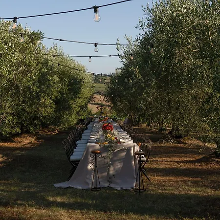 Cozzano * Pozzuolo