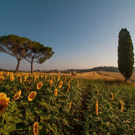 Cozzano *